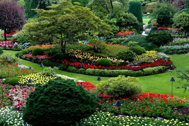 Garden design plan with planting layout