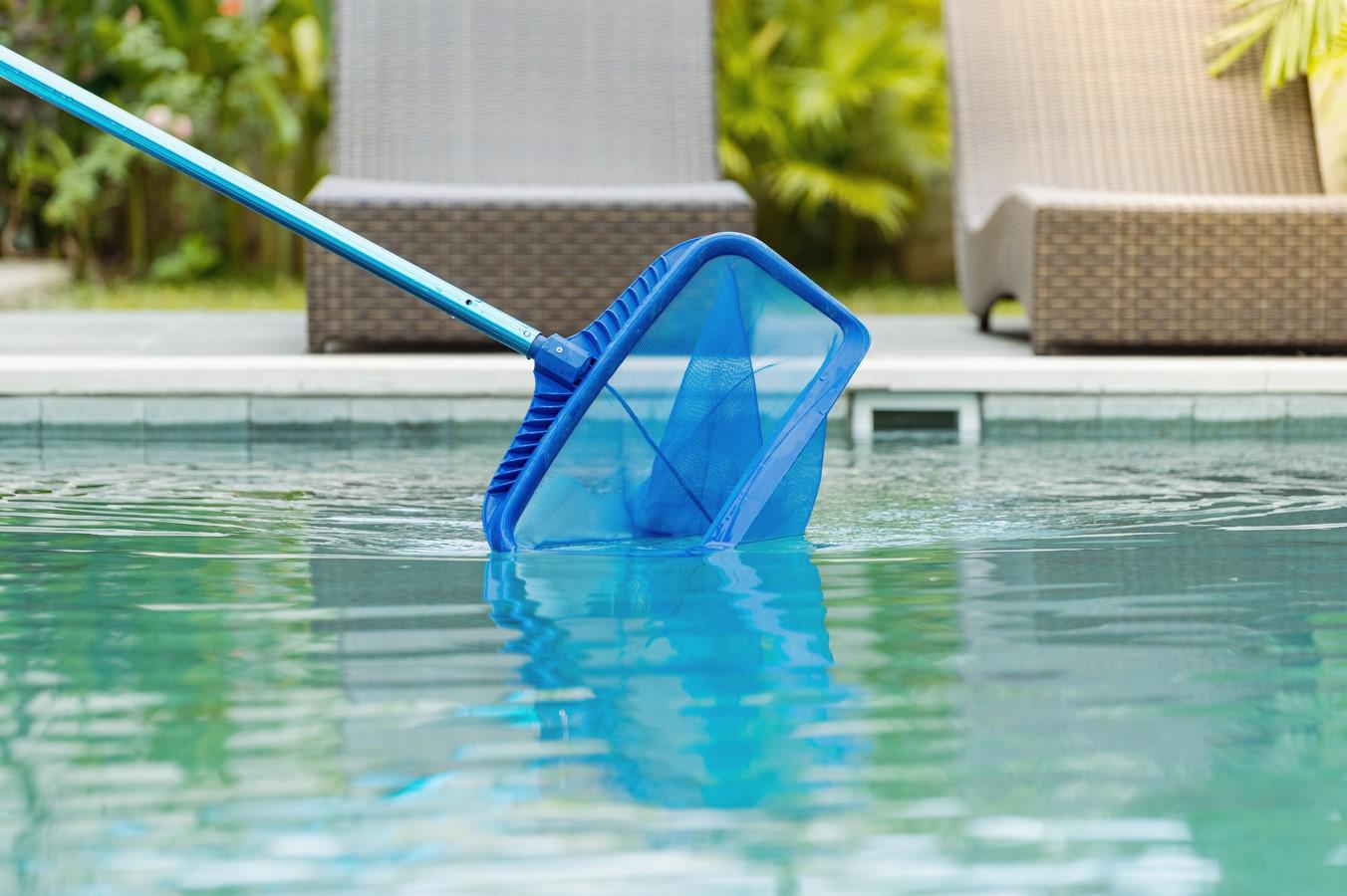 Pool being cleaned with skimmer net